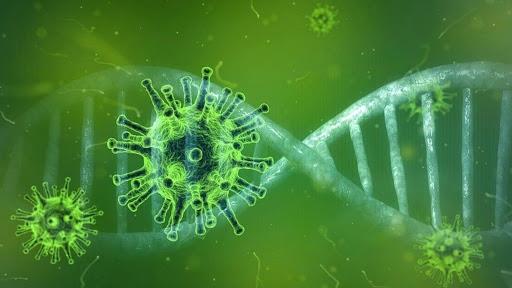 دانشمندان استرالیایی توانستند نحوه مبارزه بدن با ویروس کرونا را شناسایی کنند.