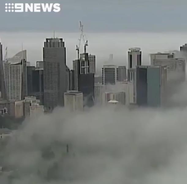 مه غلیظ در سیدنی دردسرساز شد